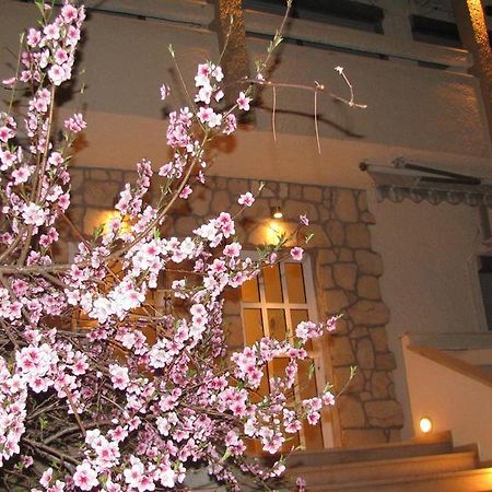 Villa Kokkinos Potos Ngoại thất bức ảnh